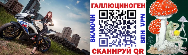 наркота  Ухта  Галлюциногенные грибы прущие грибы 